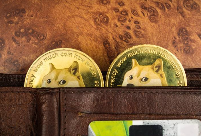 Top 7 Ví Dogecoin An Toàn Nhất 2025 – Dân Crypto Không Thể Bỏ Qua!